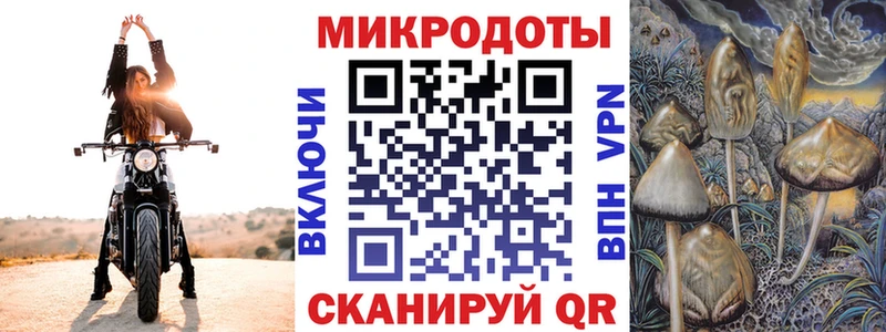 Галлюциногенные грибы мицелий  Купить где  Светлогорск 